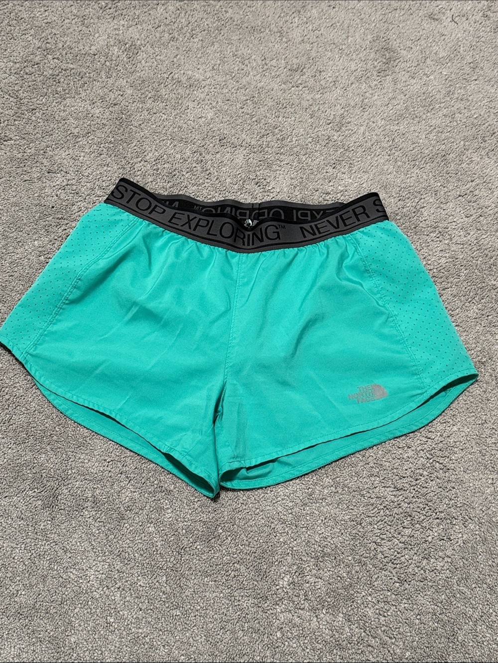 The North Face Athletic Shorts Size Small Teal